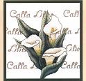 12_Bobbie G designs Calla Lilies